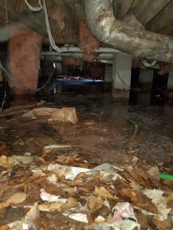 Crawl space flood assessment for Leak Detection & Repair in Port Hueneme